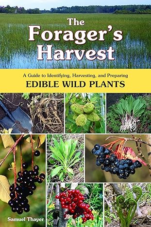 the forager s harvest a guide to identifying harvesting and preparing edible wild plants 1st edition samuel