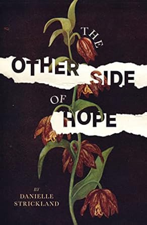 the other side of hope flipping the script on cynicism and despair and rediscovering our humanity 1st edition