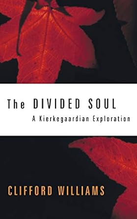 the divided soul a kierkegaardian exploration 1st edition clifford williams 1606087355, 978-1606087350