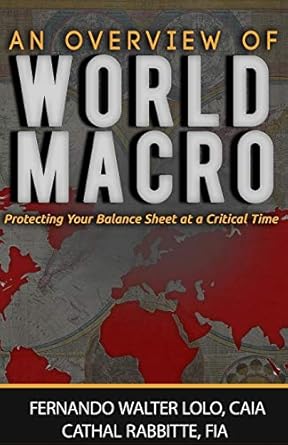 an overview of world macro protecting your balance sheet at a critical time 1st edition fernando walter lolo