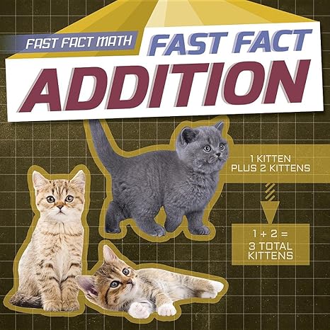 fast fact addition 1st edition jagger youssef 1538219735, 978-1538219737