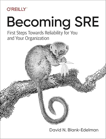 becoming sre first steps towards reliability for you and your organization 1st edition david blank edelman