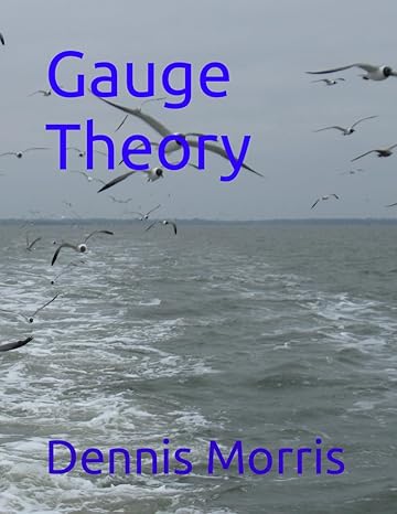 gauge theory 1st edition dennis morris b0cqycwv82, 979-8872927969