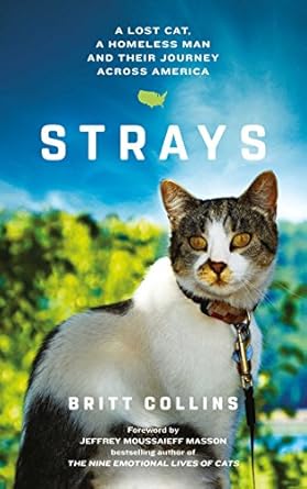 strays 1st edition britt collins 1471154653, 978-1471154652