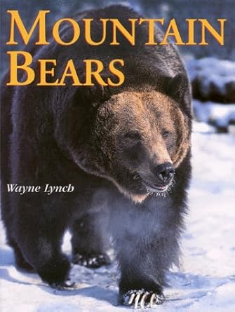 mountain bears 1st edition wayne lynch 1894004280, 978-1894004282