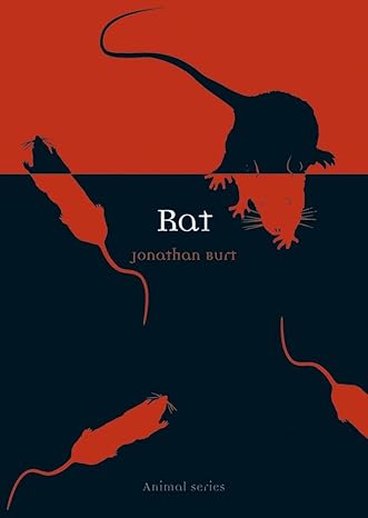 rat 1st edition jonathan burt 1861892241, 978-1861892249