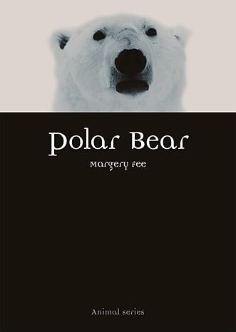 polar bear 1st edition margery fee 178914146x, 978-1789141467