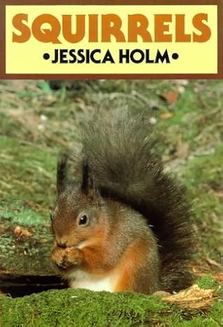 squirrels 1st edition jessica holm 1873580177, 978-1873580172