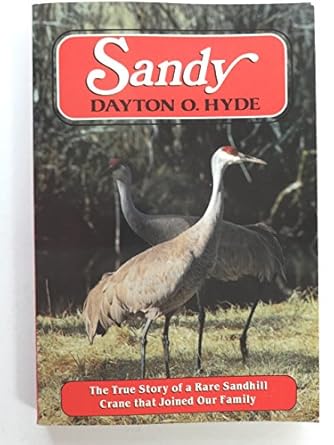 sandy 1st edition dayton o hyde 1558210075, 978-1558210073