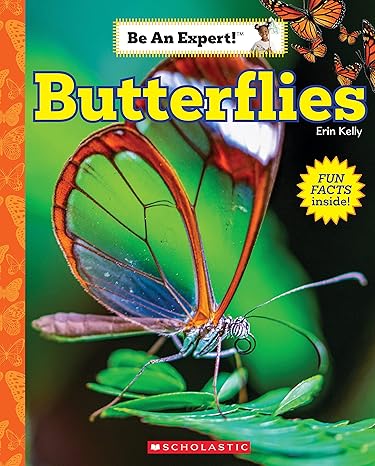 butterflies 1st edition erin kelly 1338797883, 978-1338797886