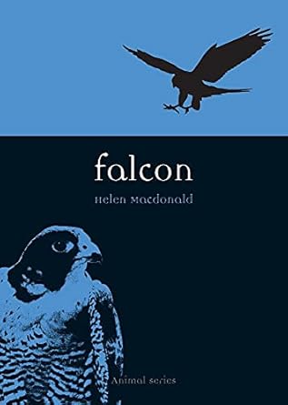 falcon 1st edition helen macdonald 1861892381, 978-1861892386