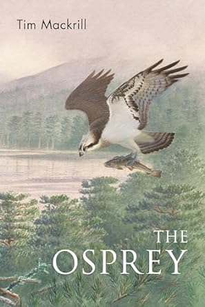 the osprey 1st edition tim mackrill 147299261x, 978-1472992611