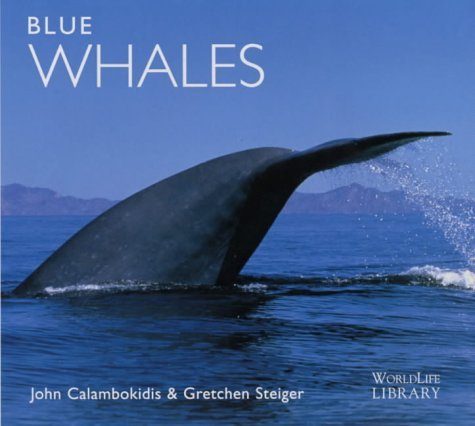 blue whales 1st edition john calambokidis 1900455218, 978-1900455213