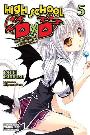 high school dxd vol 5 hellcat of the underworld training camp 5 1st edition ichiei ishibumi, miyama zero