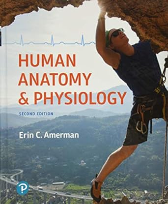 human anatomy and physiology 2nd edition erin amerman 0134553519, 978-0134553511