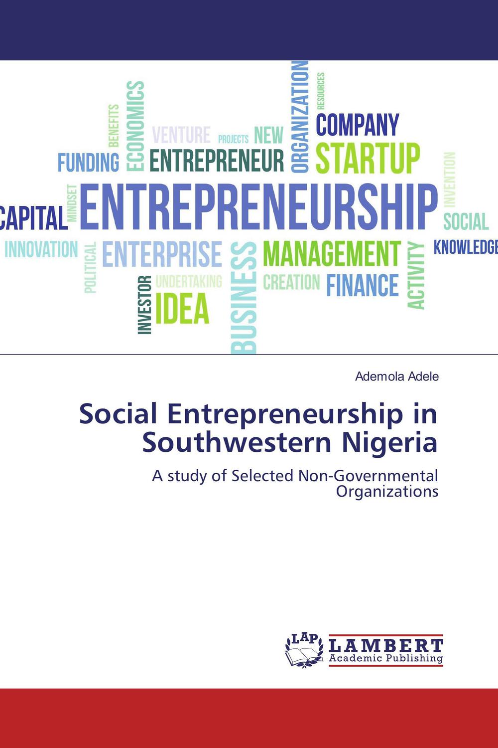 social entrepreneurship in southwestern nigeria a study of selected non governmental organizations 1st