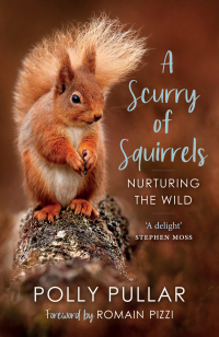 a scurry of squirrels 1st edition polly pullar 1780277040, 1788854659, 9781780277042, 9781788854658