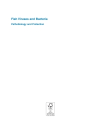 fish viruses and bacteria 1st edition rocco c. cipriano, p. t. k. woo 1780647786, 1780647794, 9781780647784,