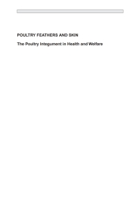 poultry feathers and skin 1st edition oluyinka a. olukosi 1786395118, 1786395134, 9781786395115,