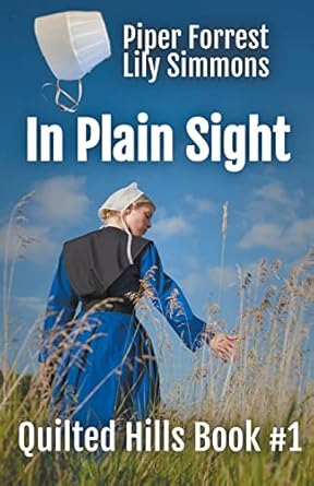 in plain sight  bev haynes ,jewel adams b09rpgmv6p, 979-8201251949