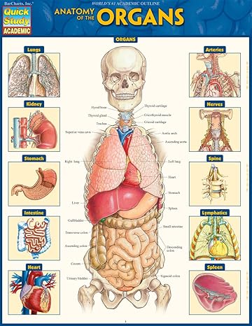 anatomy of the organs 1st edition vincent perez 1423234634, 978-1423234630