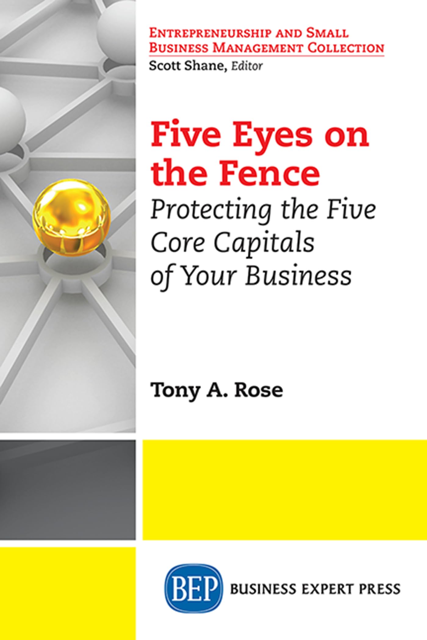 five eyes on the fence protecting the five core capitals of your business  tony a. rose 1631570390,