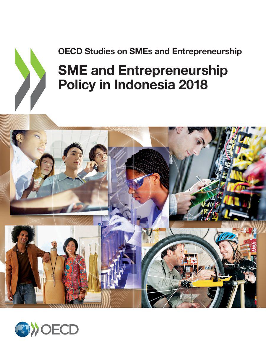 sme and entrepreneurship policy in indonesia 2018 1st edition collectif 9264307109, 9789264307100