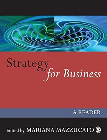 strategy for business 1st edition mariana mazzucato 076197413x, 978-0761974130