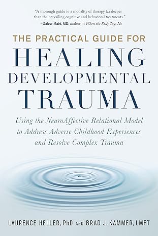 the practical guide for healing developmental trauma using the neuroaffective relational model to address