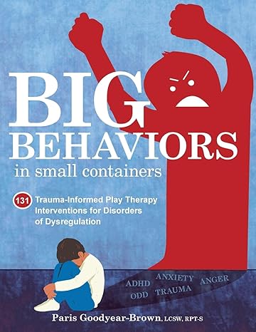 big behaviors in small containers 131 trauma informed play therapy interventions for disorders of