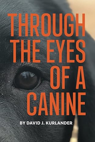 through the eyes of a canine how changing your perception and understanding the emotional life of your dog