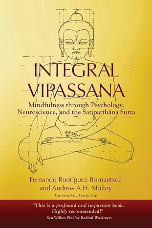 integral vipassana mindfulness through psychology neuroscience and the satipatth na sutta 2023 edition 1st