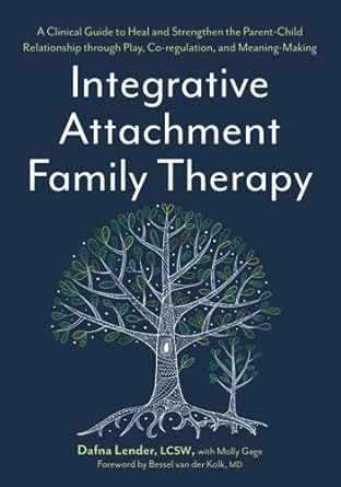 integrative attachment family therapy a clinical guide to heal and strengthen the parent child relationship