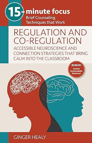 15 minute focus regulation and co regulation accessible neuroscience and connection strategies that bring