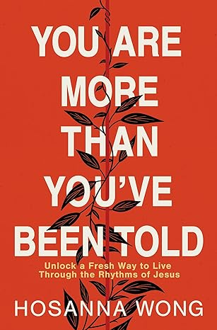 you are more than you ve been told 1st edition hosanna wong 078524350x, 978-0785243502