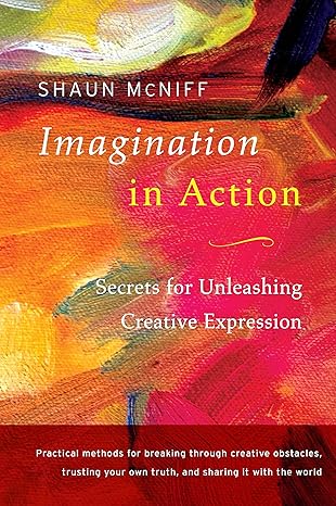 imagination in action secrets for unleashing creative expression  shaun mcniff 1611802016, 978-1611802016