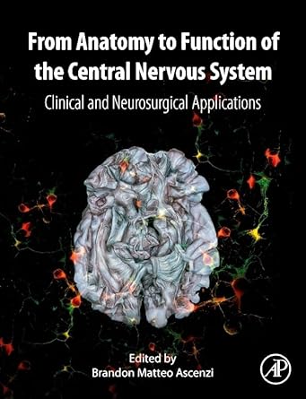 from anatomy to function of the central nervous system clinical and neurosurgical applications 1st edition