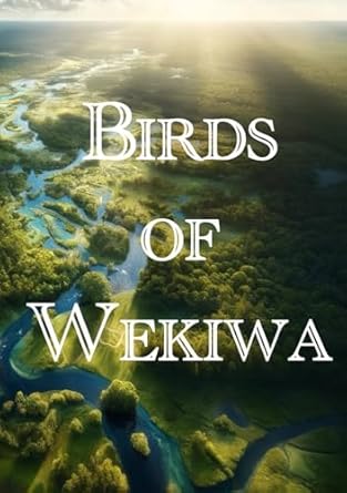 birds of wekiwa 1st edition samantha seebeck 1954086342, 978-1954086340