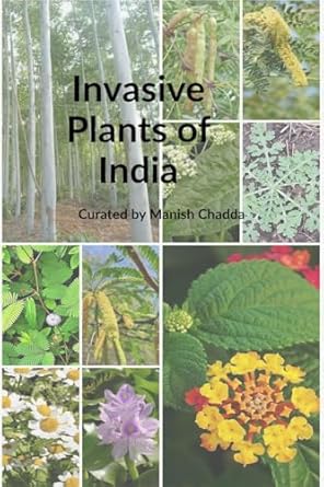 invasive plants of india 1st edition manish chadda b0df2c4dtz, 979-8895444184