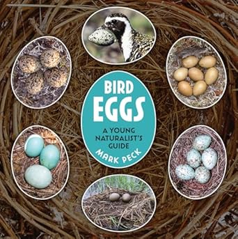 bird eggs a young naturalists guide 1st edition mark peck 0228104831, 978-0228104834