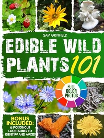 edible wild plants 101 a north american guide to easily identify the safest wild food among leaves flowers