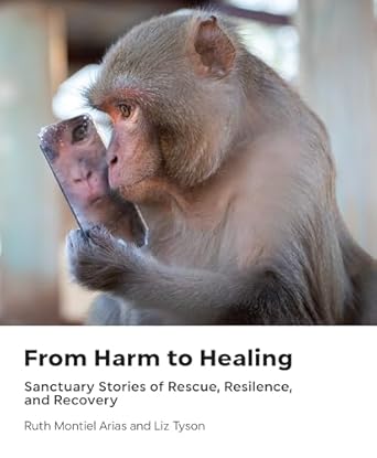 from harm to healing sanctuary stories of rescue resilience and recovery 1st edition ruth montiel arias ,liz