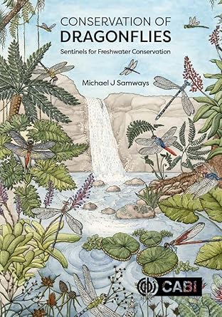 conservation of dragonflies sentinels for freshwater conservation 1st edition michael j samways 178924837x,