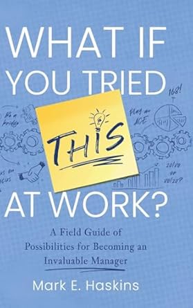 what if you tried this at work a field guide of possibilities for becoming an invaluable manager 1st edition