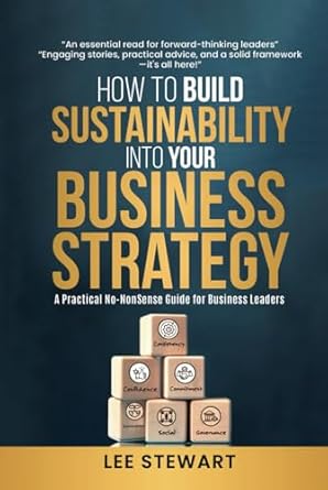 how to build sustainability into your business strategy a practical no nonsense business guide 1st edition