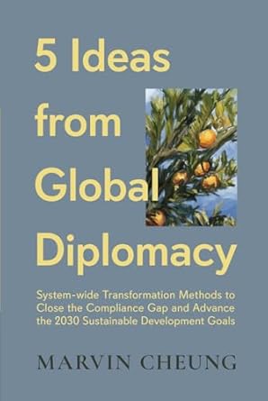 5 ideas from global diplomacy system wide transformation methods to close the compliance gap and advance the