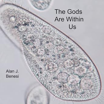 the gods are within us 1st edition alan benesi b0b5kk2x3m, 979-8839922709