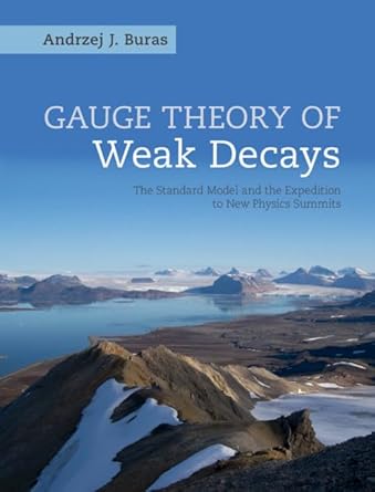 gauge theory of weak decays the standard model and the  to new physics summits 1st edition andrzej j buras