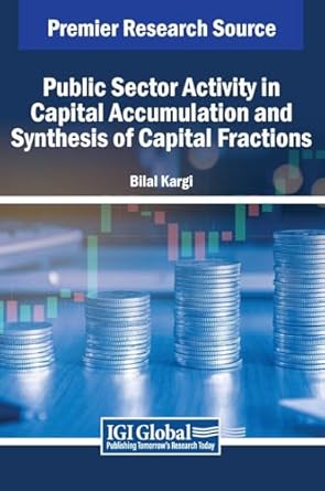 public sector activity in capital accumulation and synthesis of capital fractions 1st edition bilal kargi