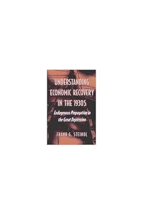 understanding economic recovery in the 1930s endogenous propagation in the great depression 1st edition frank